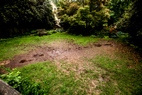 Whitman backyard mud